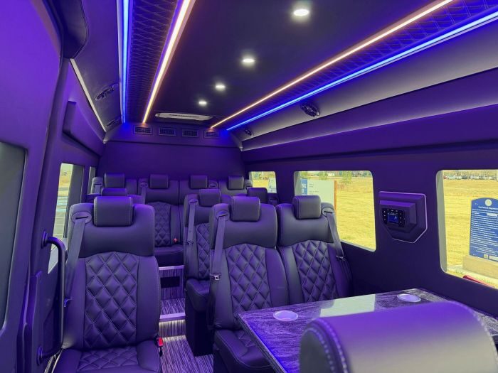 Executive Sprinter seating – Loveland party bus rental