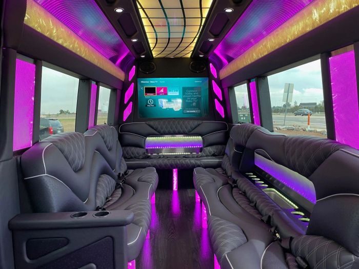 Sprinter limo lounge with TV – Loveland party bus rental