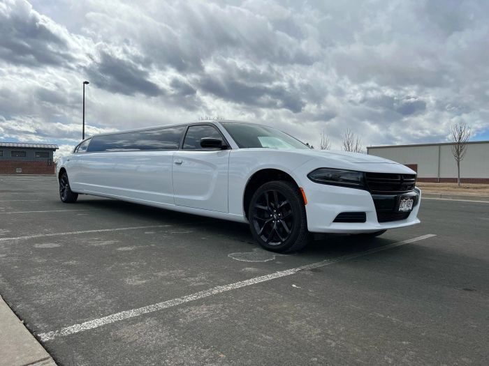 White stretch limo – Loveland party bus rental